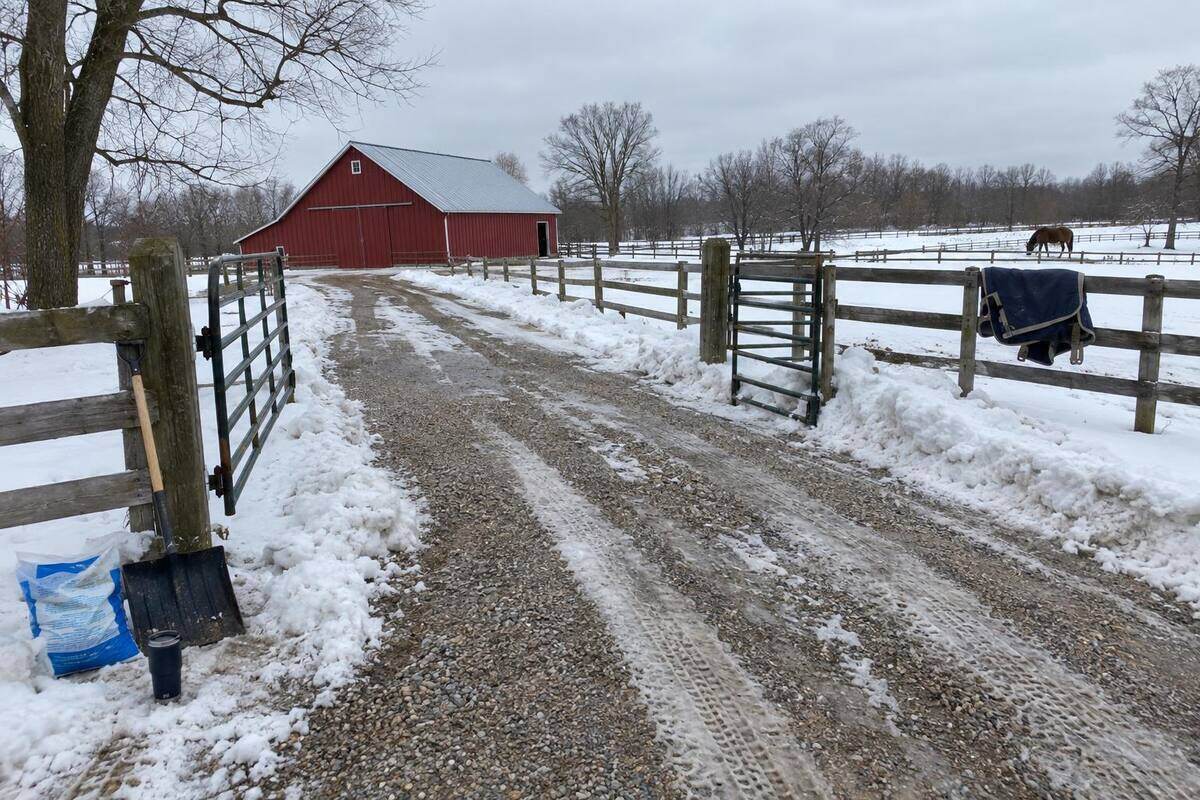 A plowed gravel lane leading to a red barn, a fenced paddock gate cleared on both sides, a horse blanket on the fence and snow-covered pasture beyond