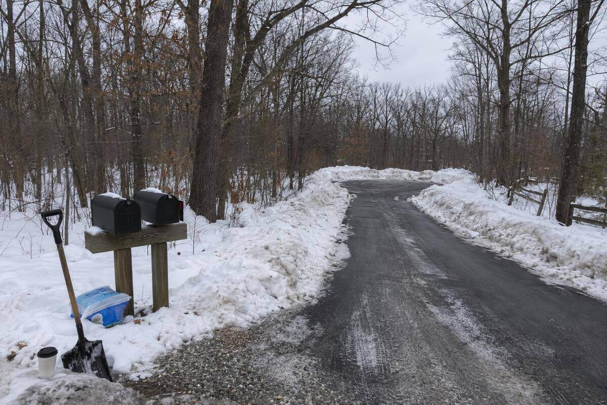 A narrow private lane plowed one lane wide through bare oaks to a cleared turnaround, three mailboxes on a shared post at the near end